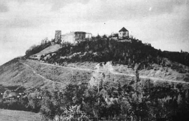 Vysichka Castle — Ukraine castle