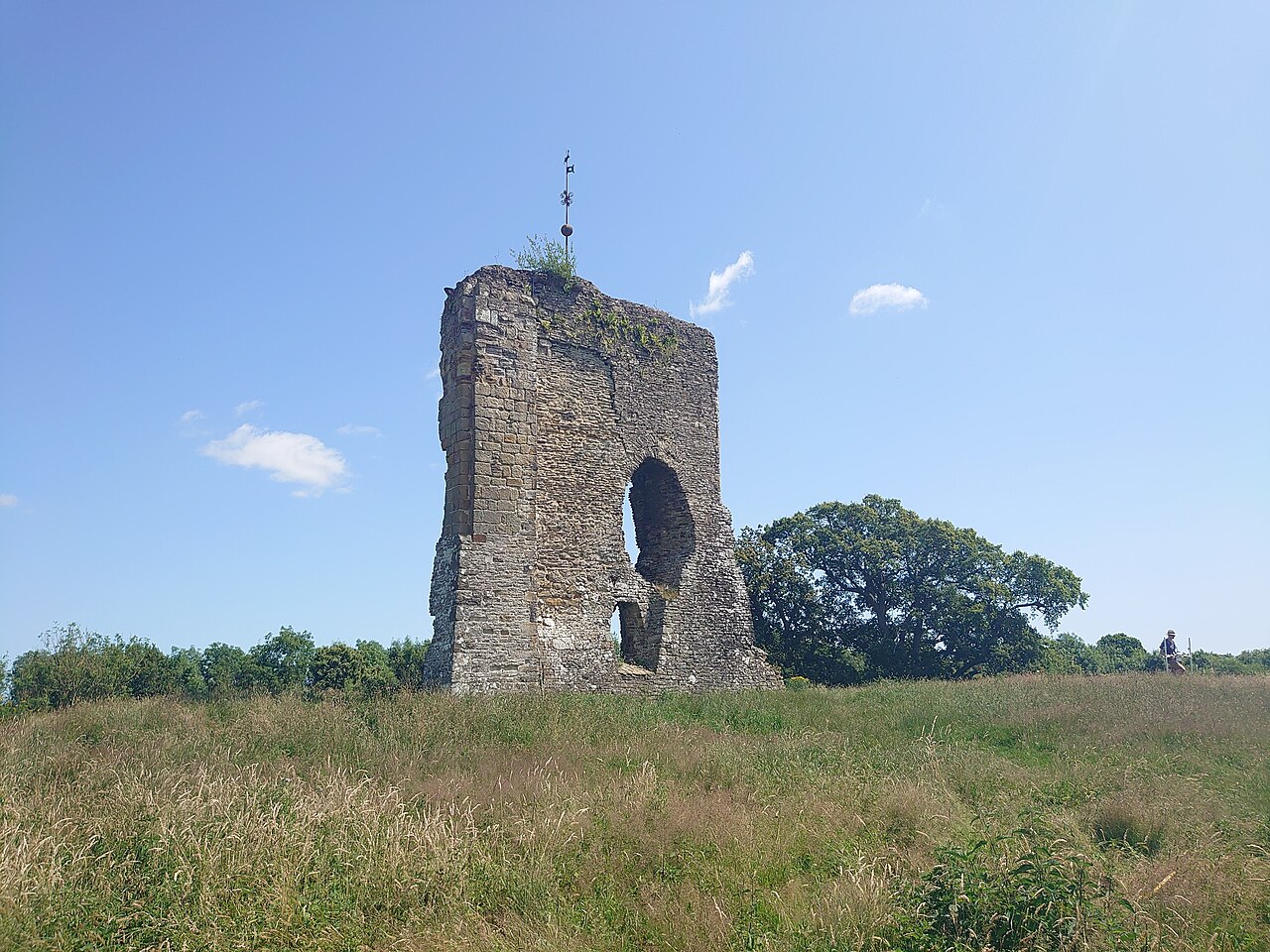 Knepp Castle — United Kingdom of Great Britain and Northern Ireland castle