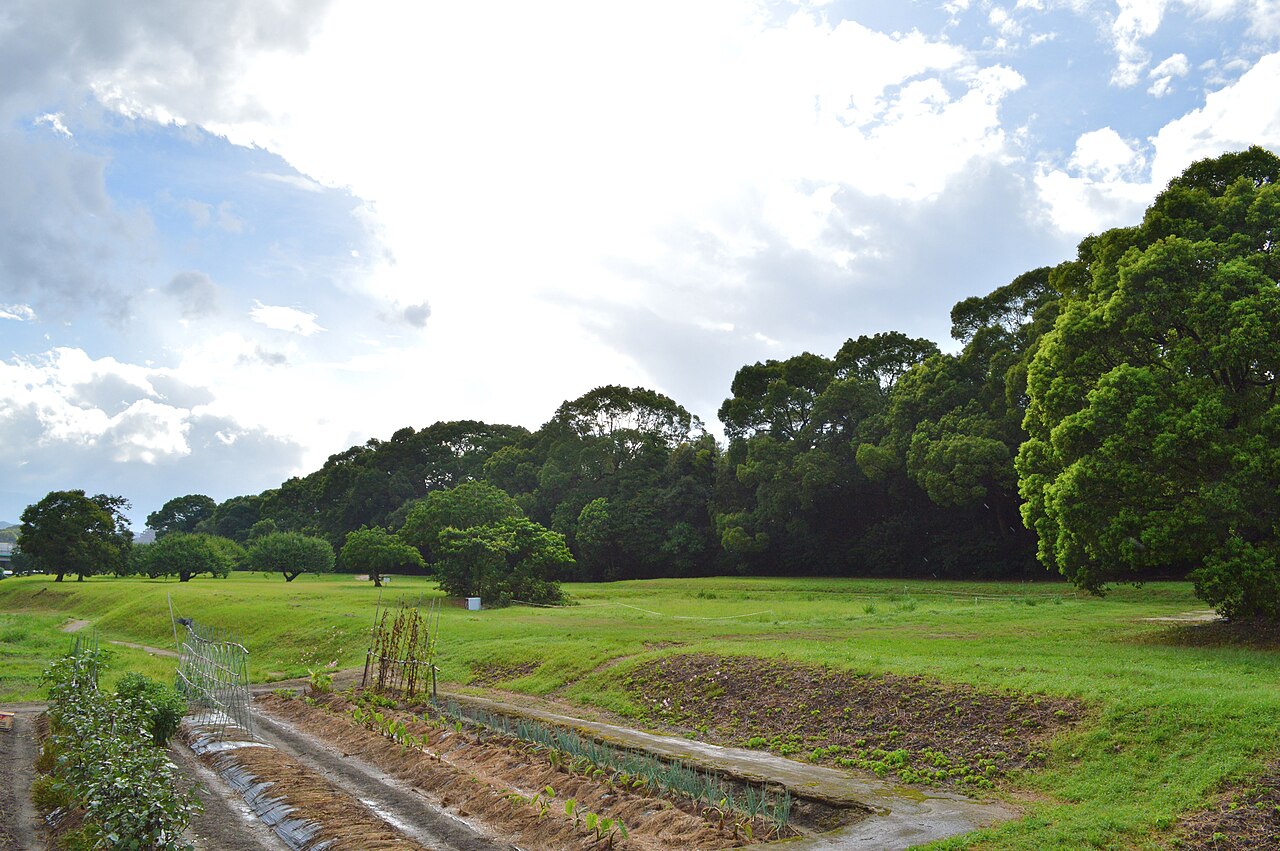 Mizuki — Japan castle