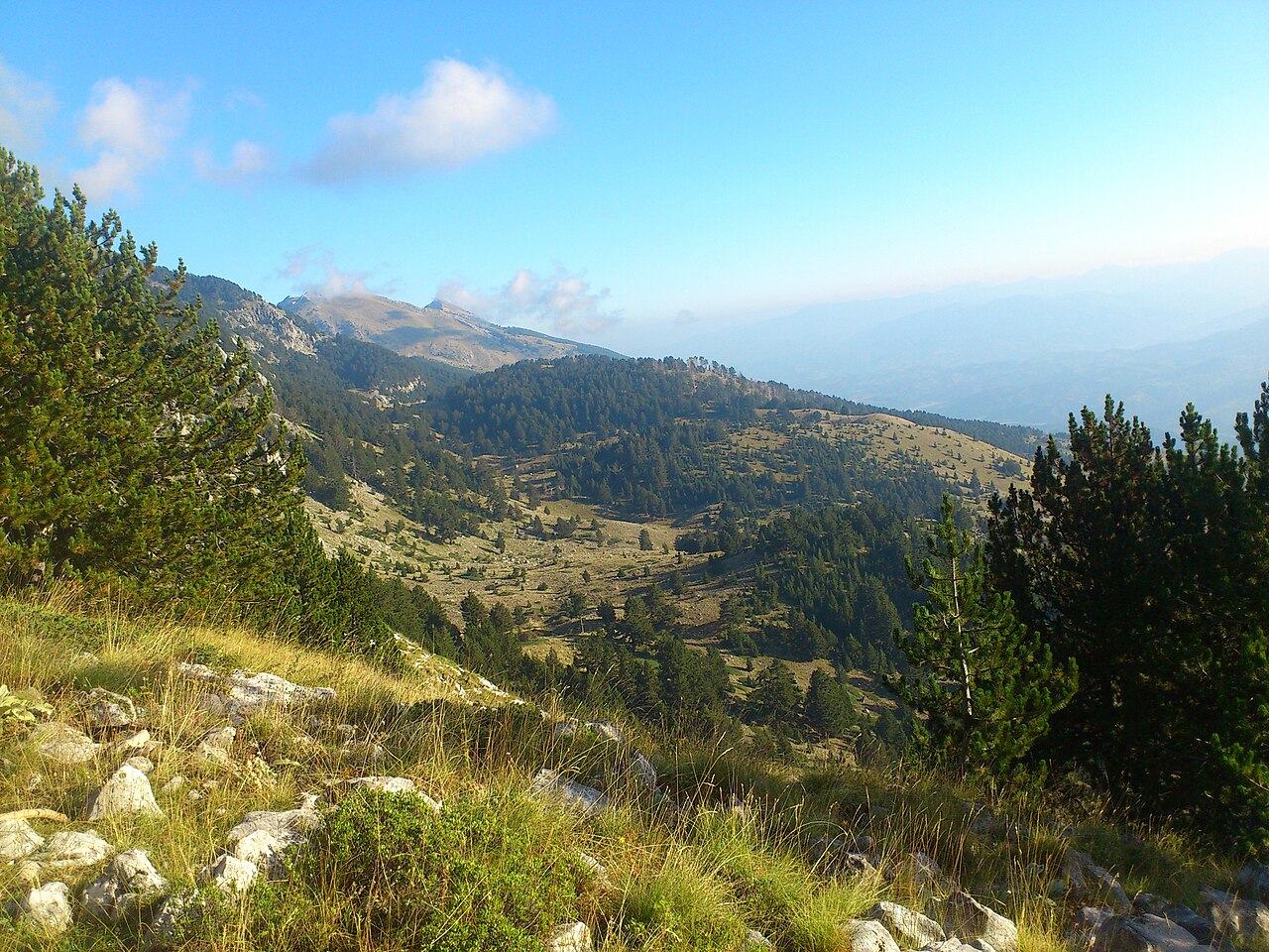 Tomornitsa — Albania castle