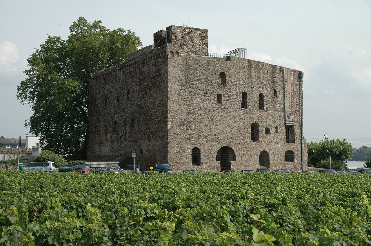 Boosenburg Castle Ruins — Germany castle