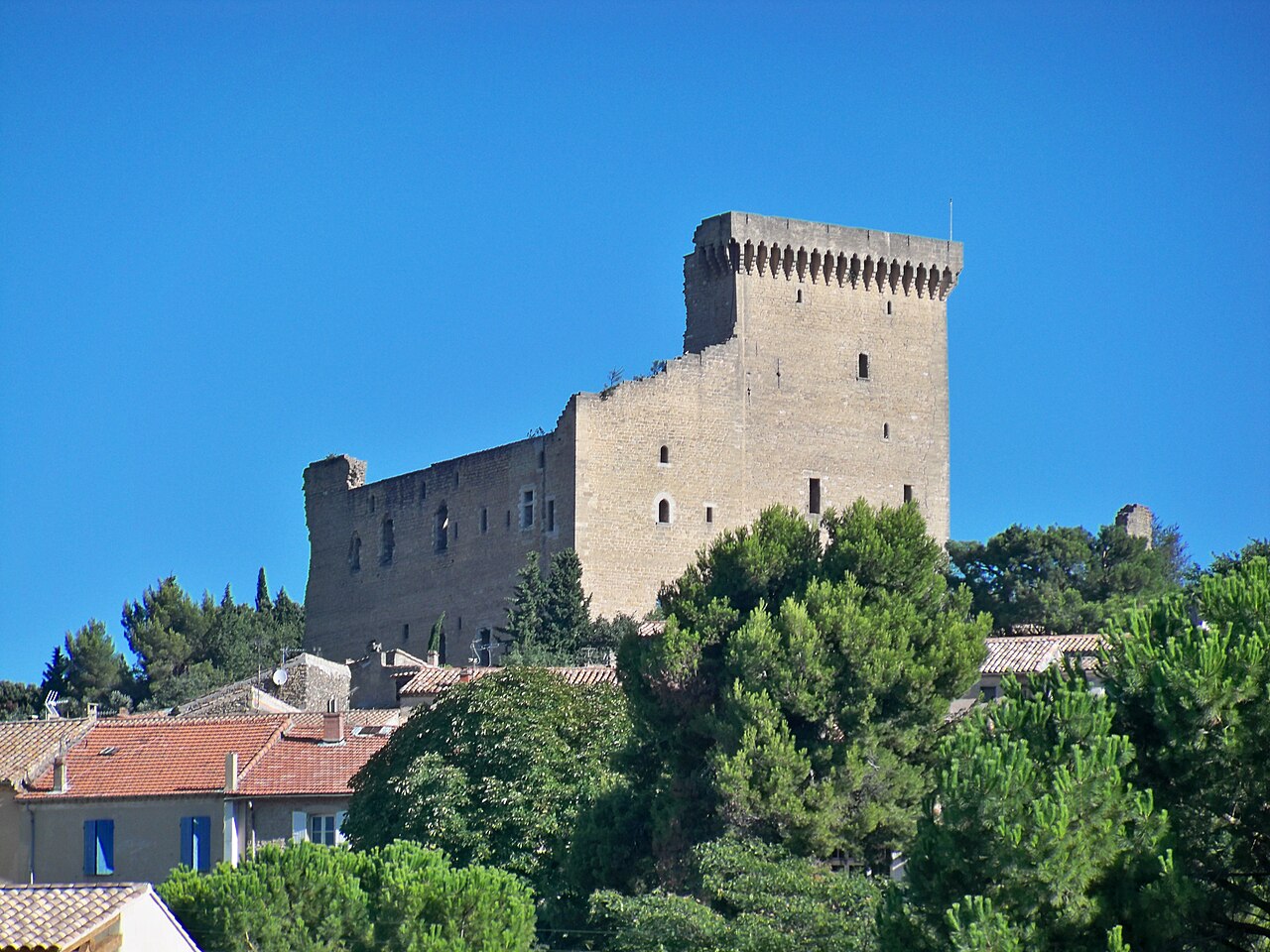 Château de Châteauneuf-du-Pape — France castle