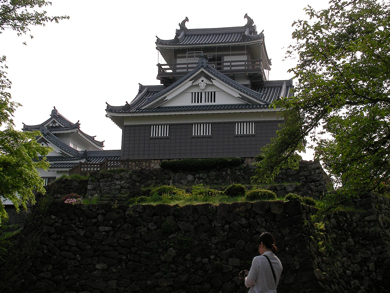Ōno Castle — Japan castle