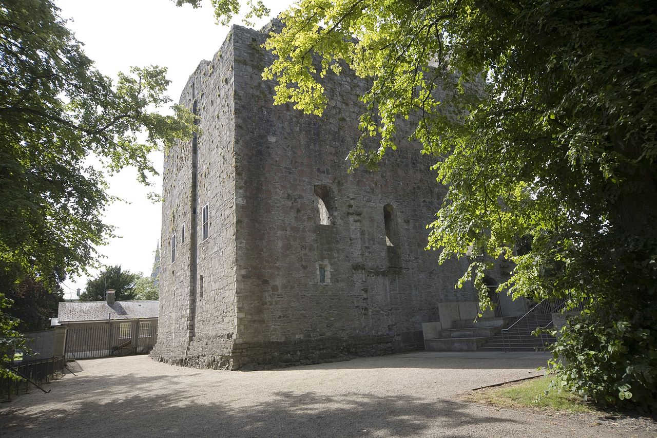 Maynooth Castle — Ireland castle