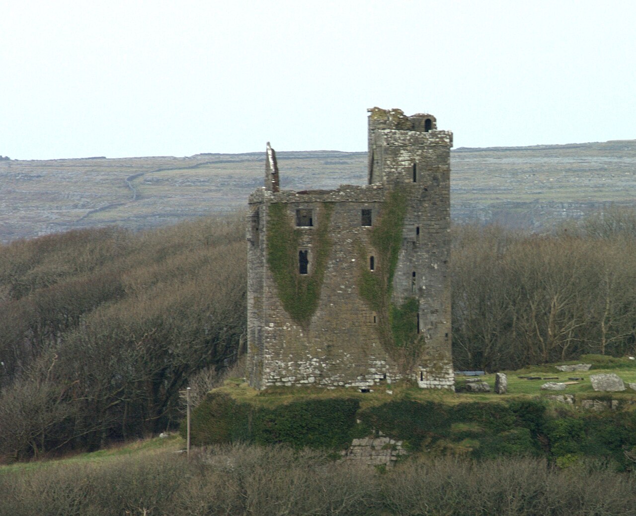 Ballinalacken Castle — Ireland castle