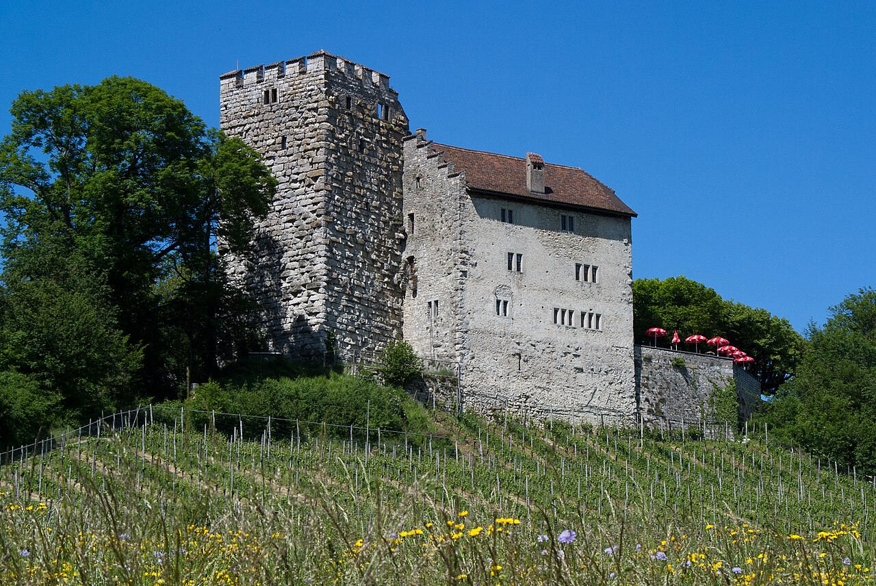 Habsburg Castle — Switzerland castle