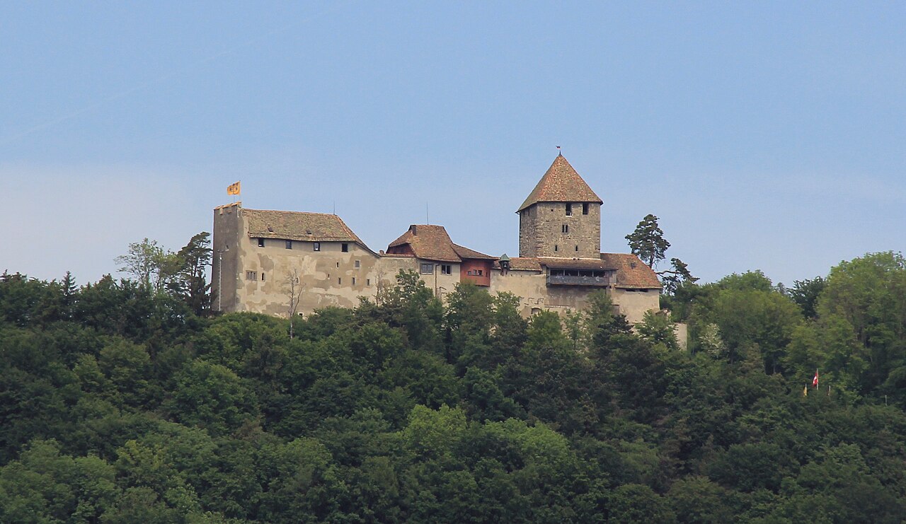 Hohenklingen Castle — Switzerland castle