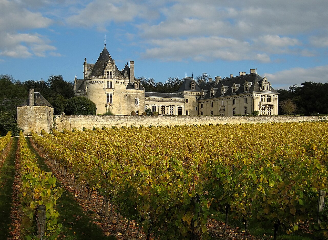 Château de Brézé — France castle
