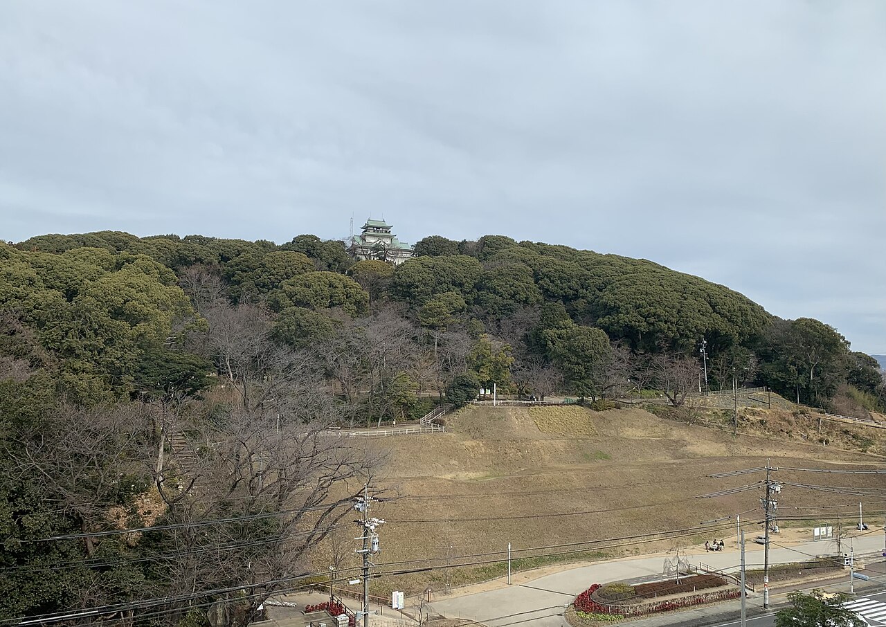 Komakiyama Castle — Japan castle