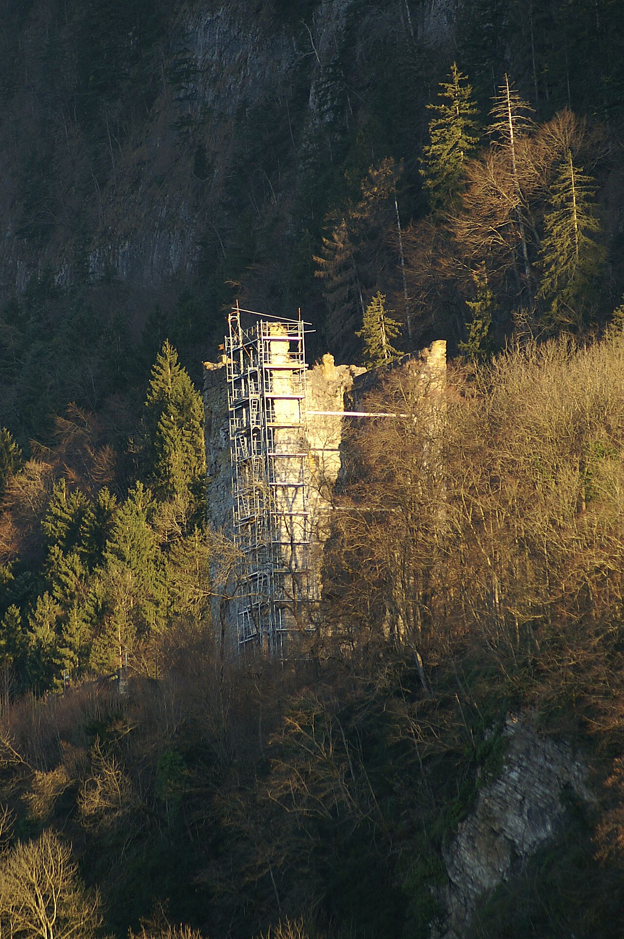 Neu-Montfort Castle Ruins — Austria castle