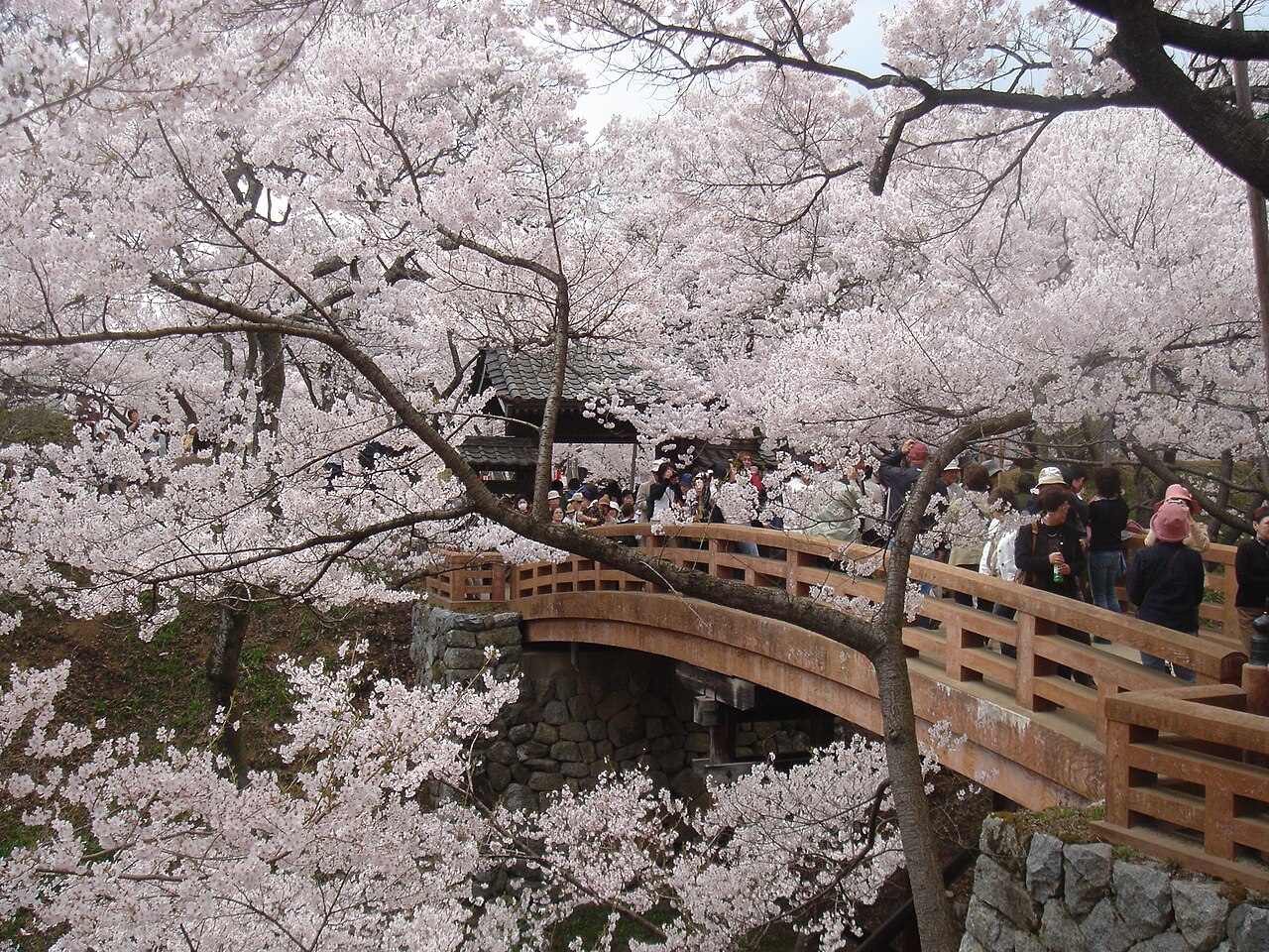 Takato Castle — Japan castle