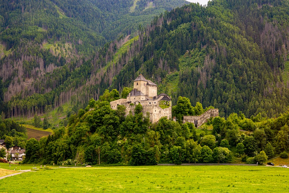 Burg Heidenreichstein