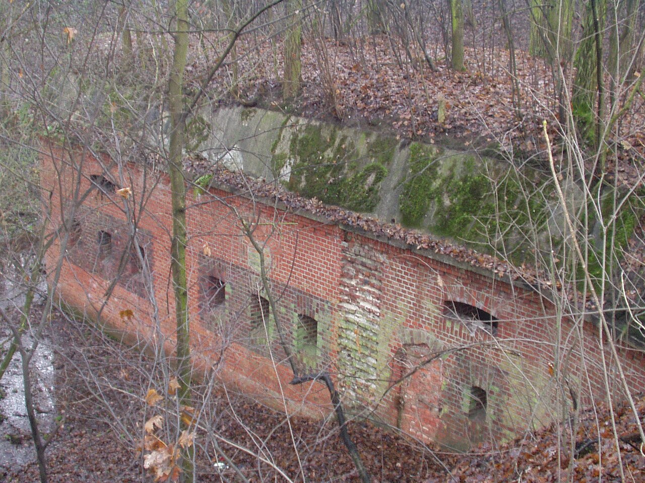 Fort XV — Poland castle