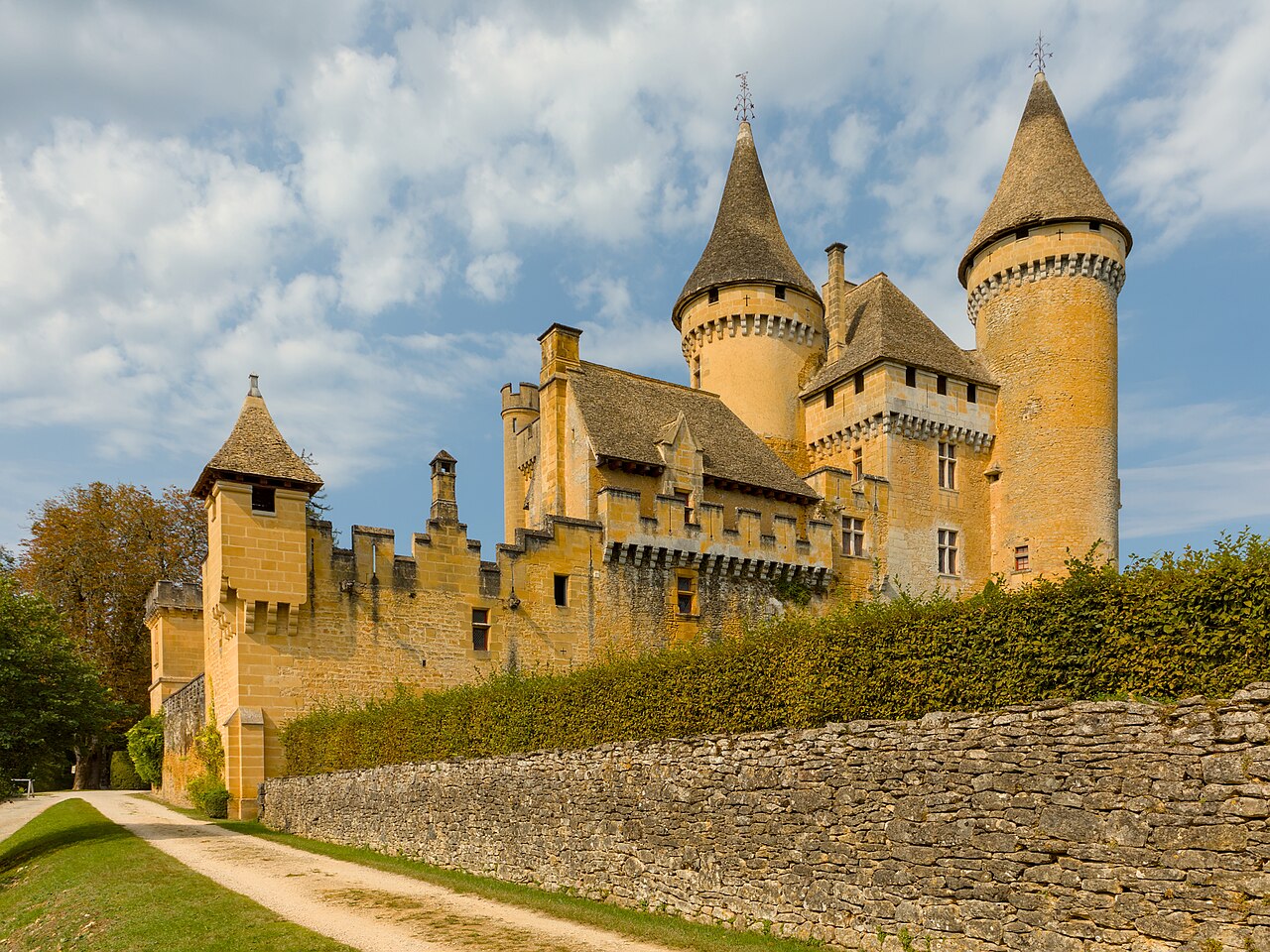 Puymartin Castle — France castle