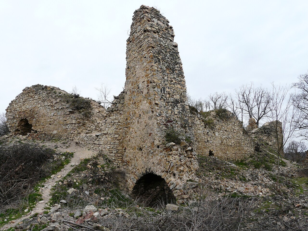 Templštejn Castle — Czechia castle