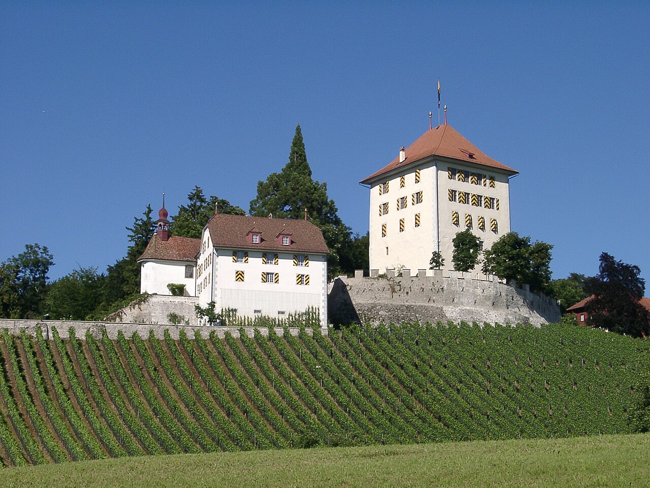 Heidegg Castle — Switzerland castle