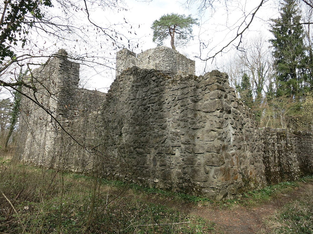 Weissenau Castle — Switzerland castle