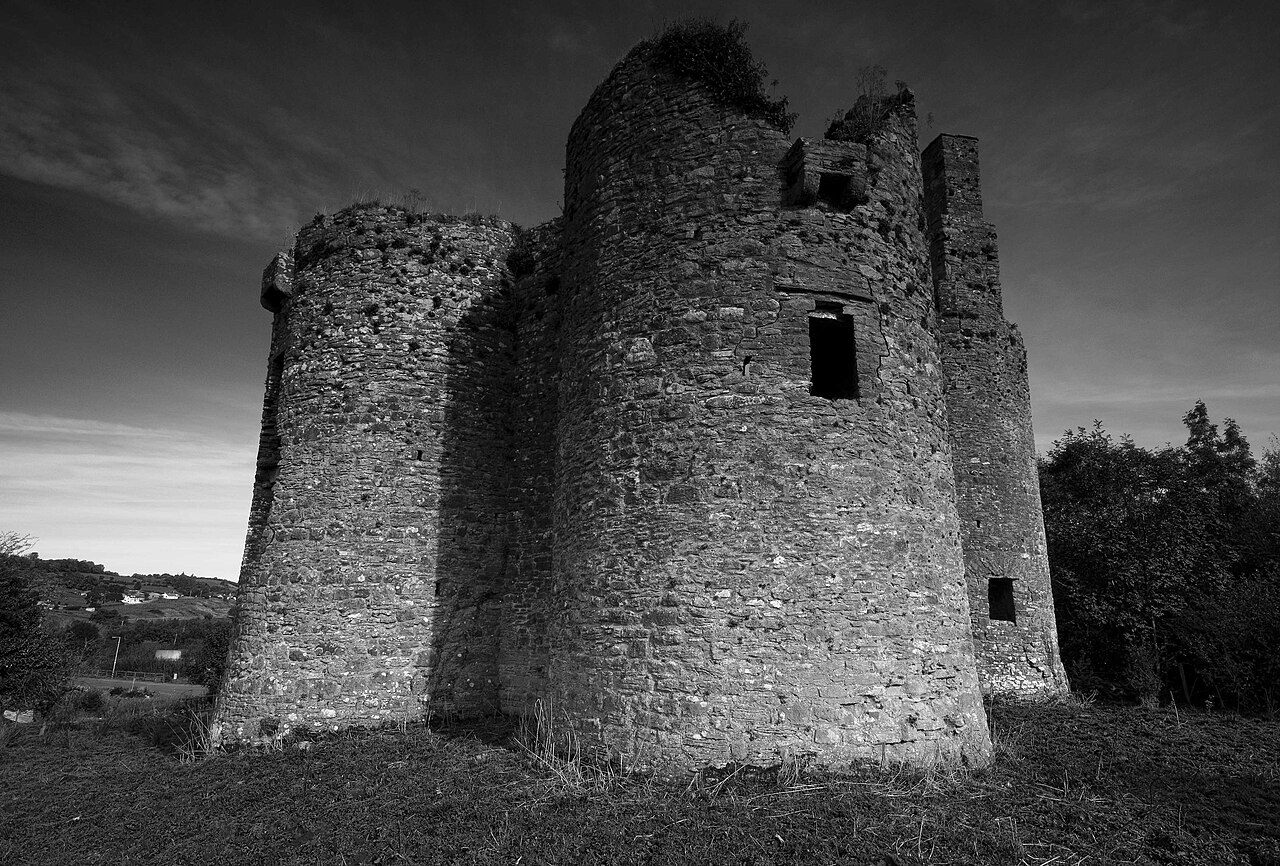 Ballinafad Castle — Ireland castle