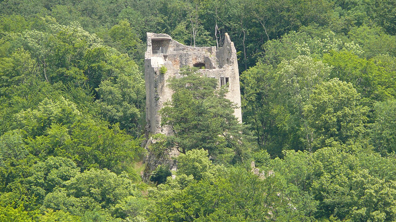 Neu-Homburg Castle Ruins — Switzerland castle
