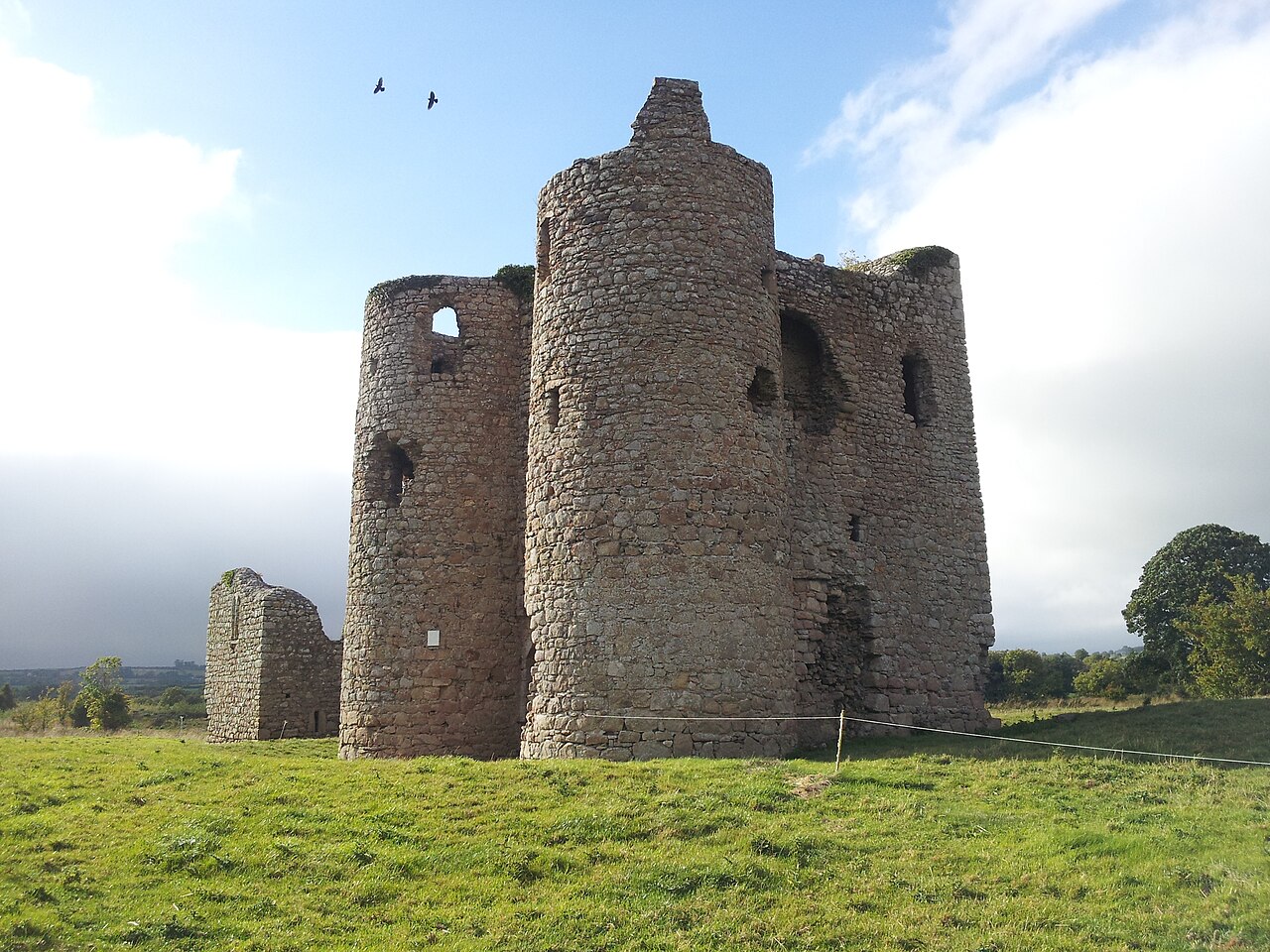 Ballyloughan Castle — Ireland castle