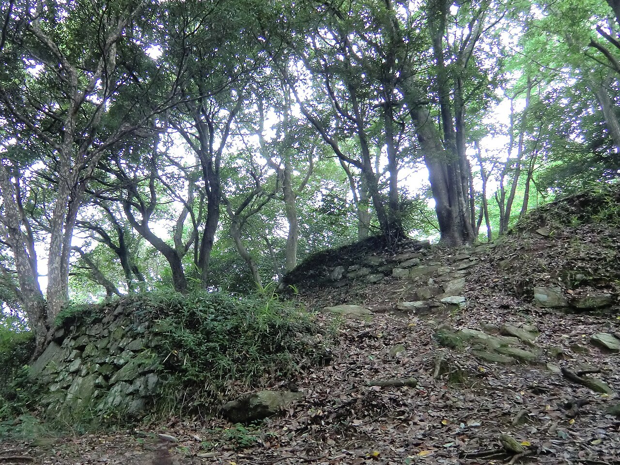 Kōnomine Castle — Japan castle