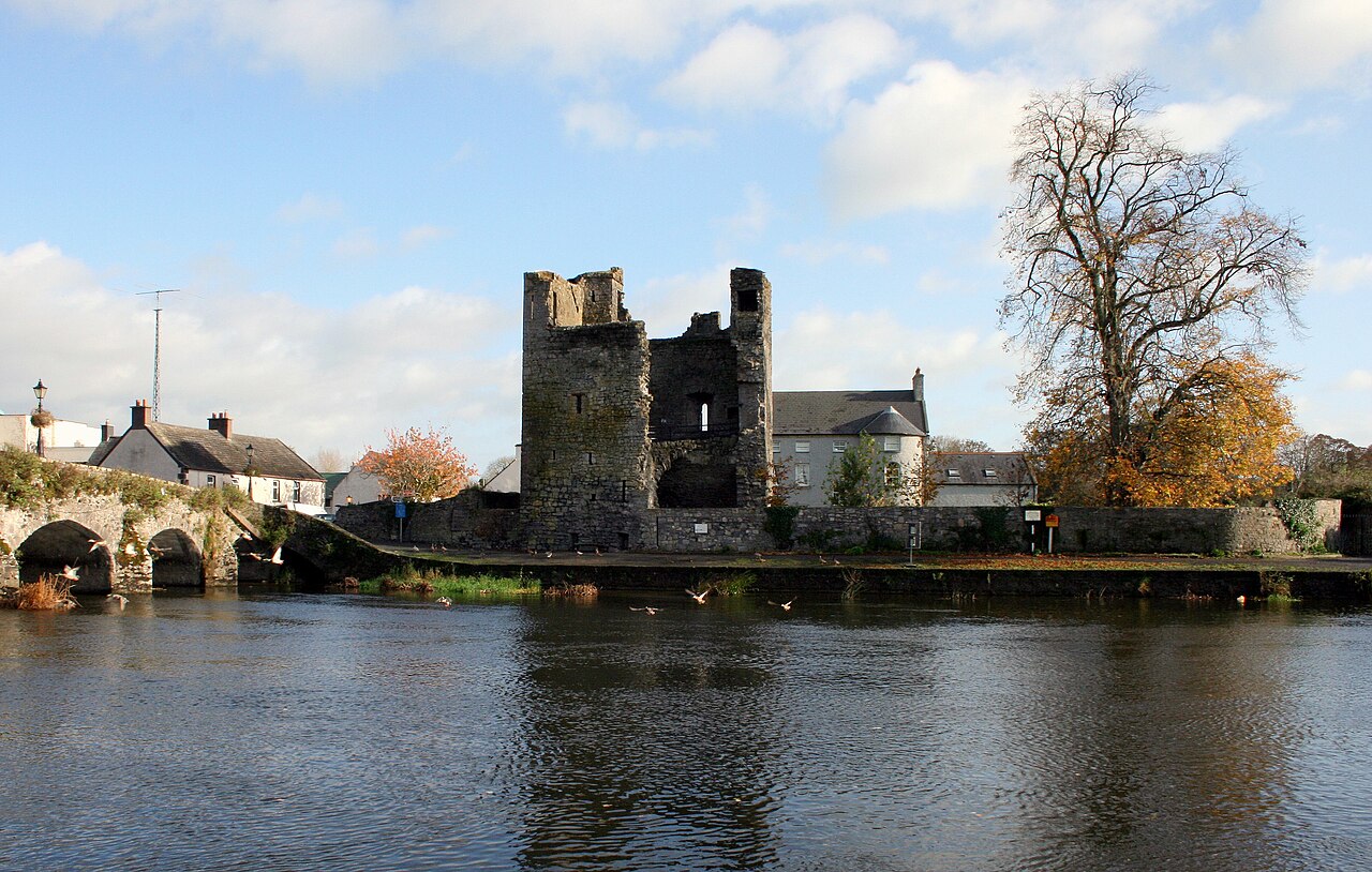 Leighlinbridge Castle — Ireland castle