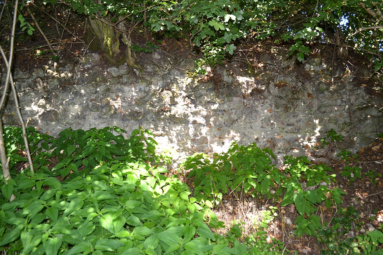 Hodejov Castle Ruins — Slovakia castle