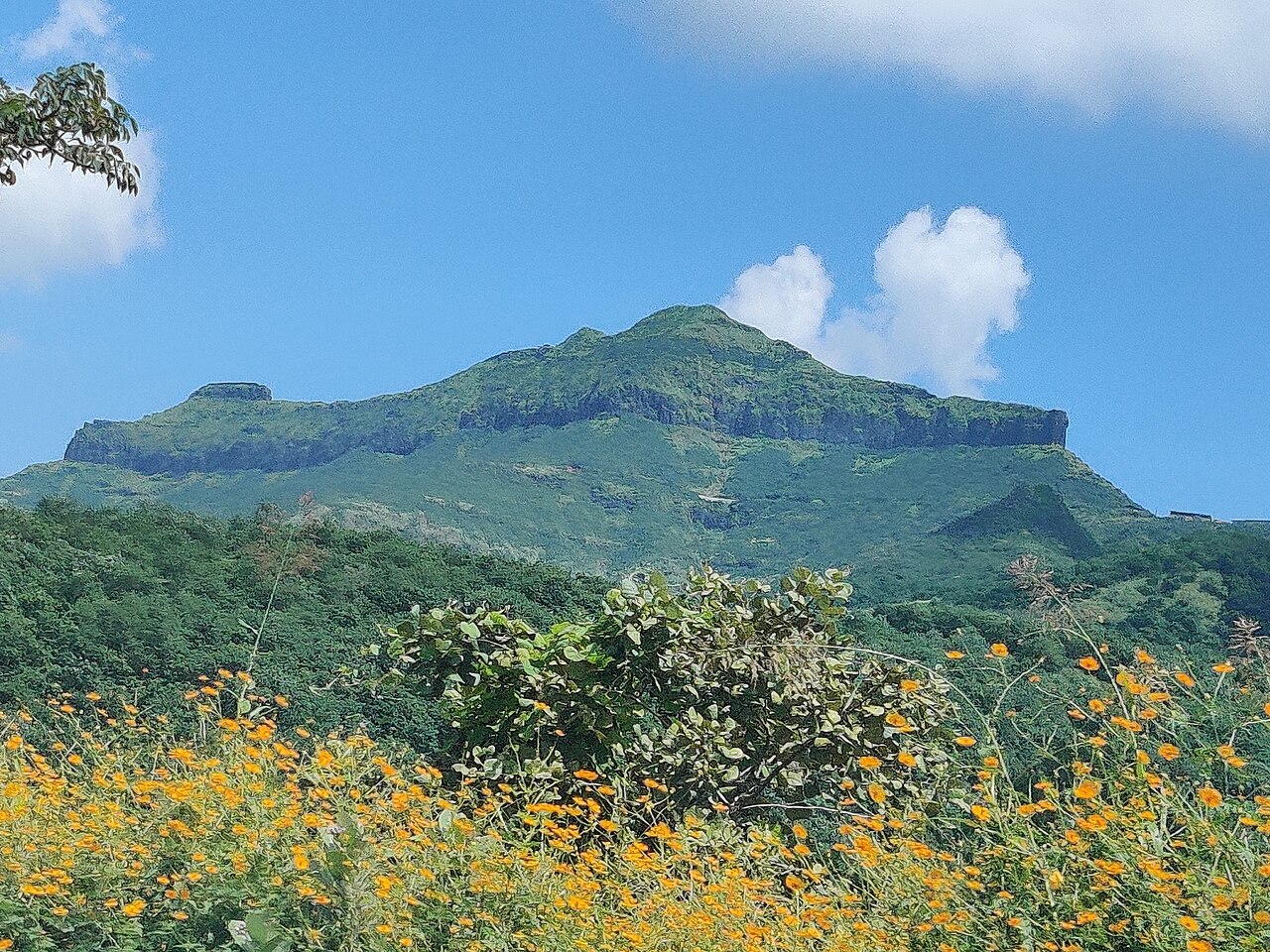 Purandar Fort — India castle
