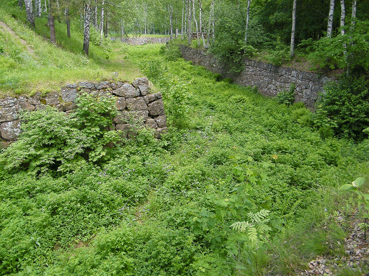 East Vyborg Fortress — Russian Federation castle