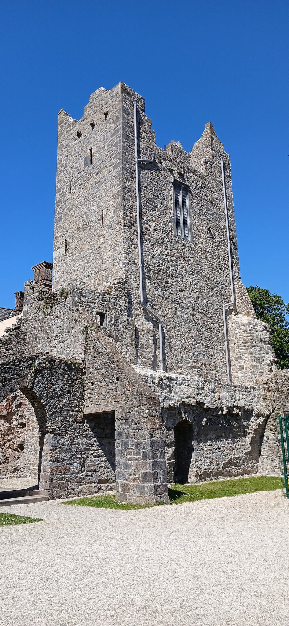Ormonde Castle — Ireland castle