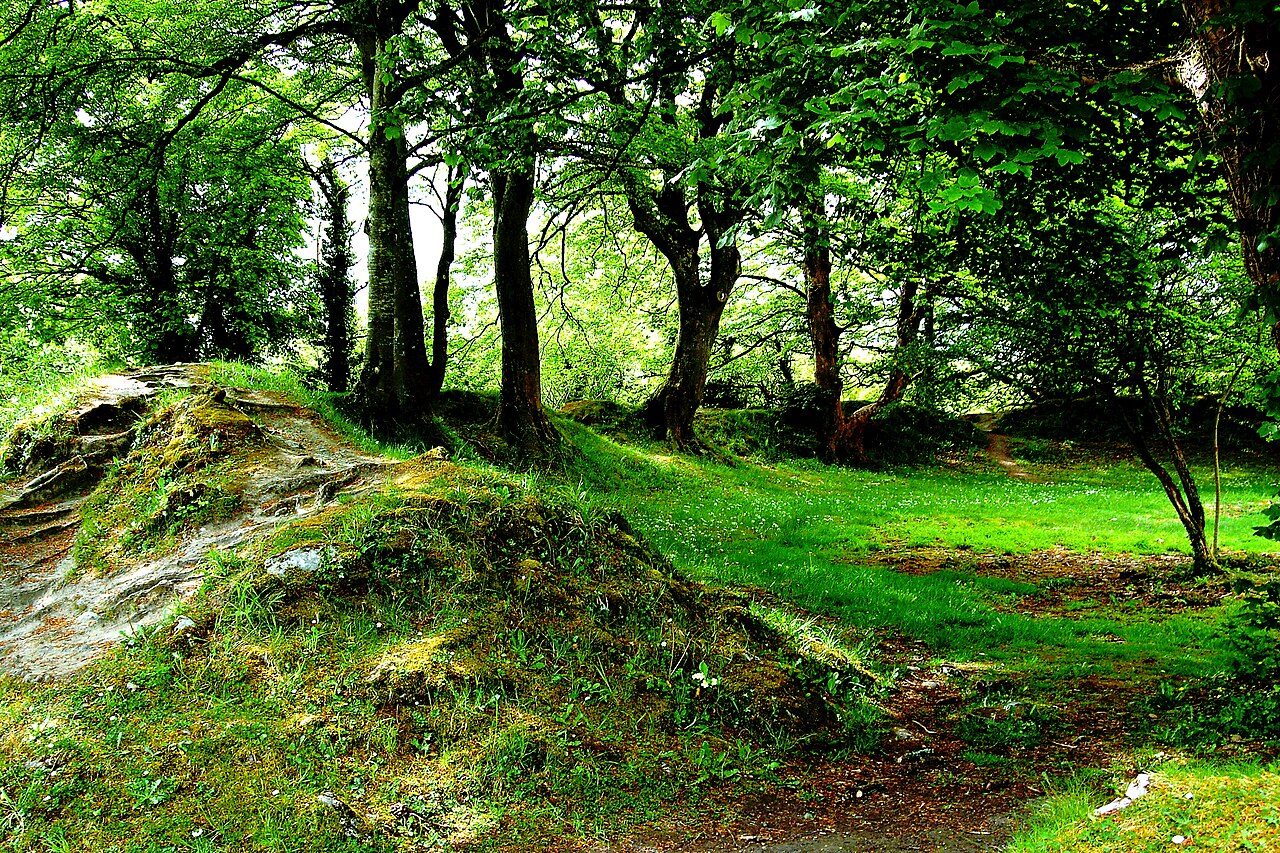 Ballyallaban ringfort — Ireland castle