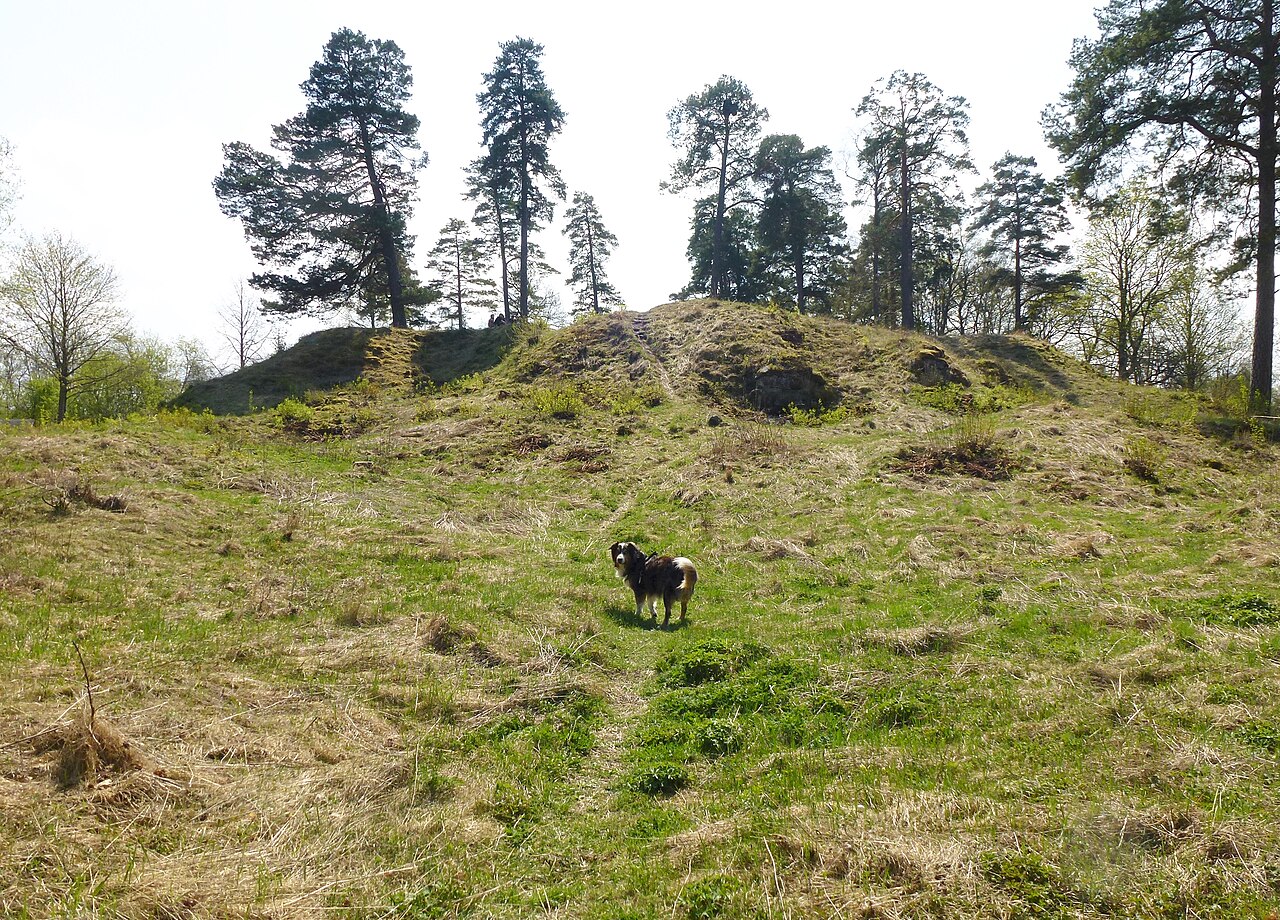 Almarestäkets Castle Ruins — Sweden castle