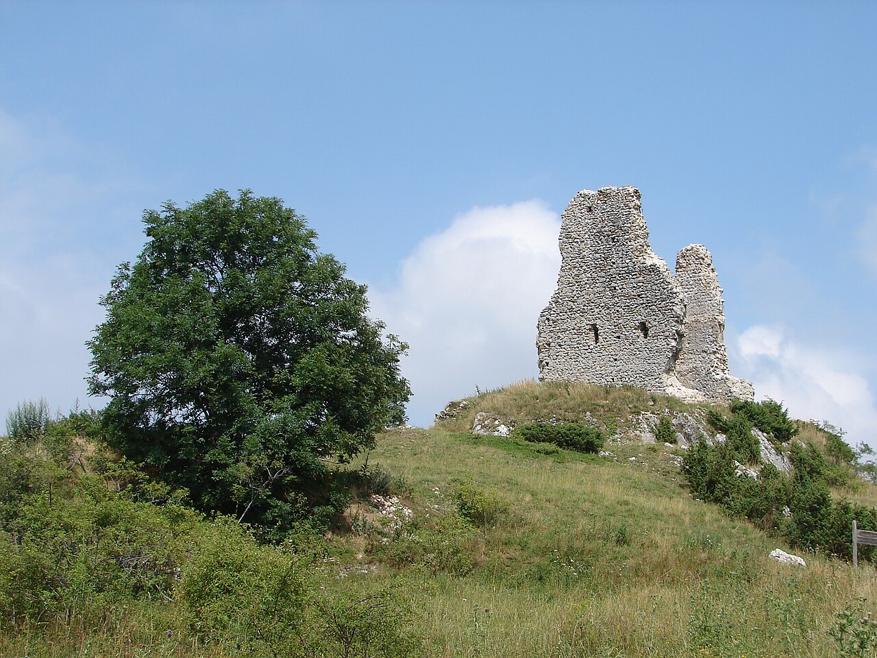 Château de Montaillou — France castle