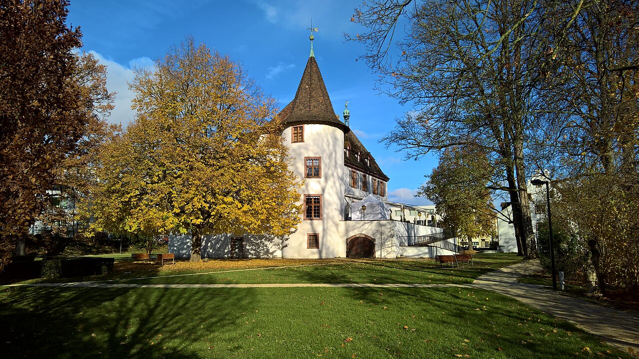 Binningen Castle — Switzerland castle