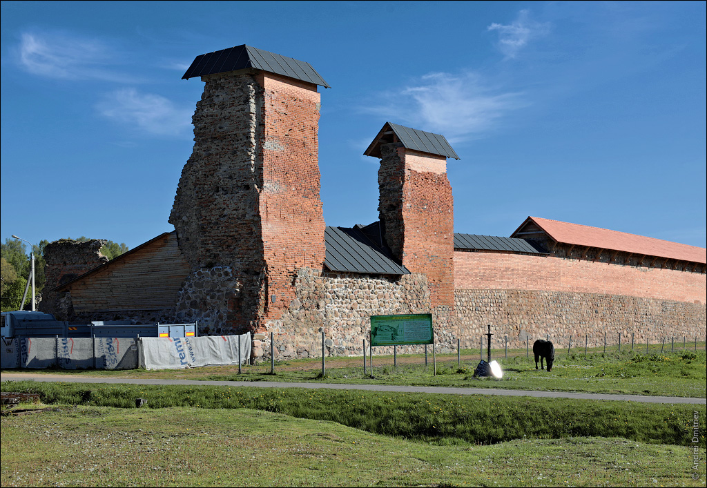 Krevo Castle Ruins — Belarus castle