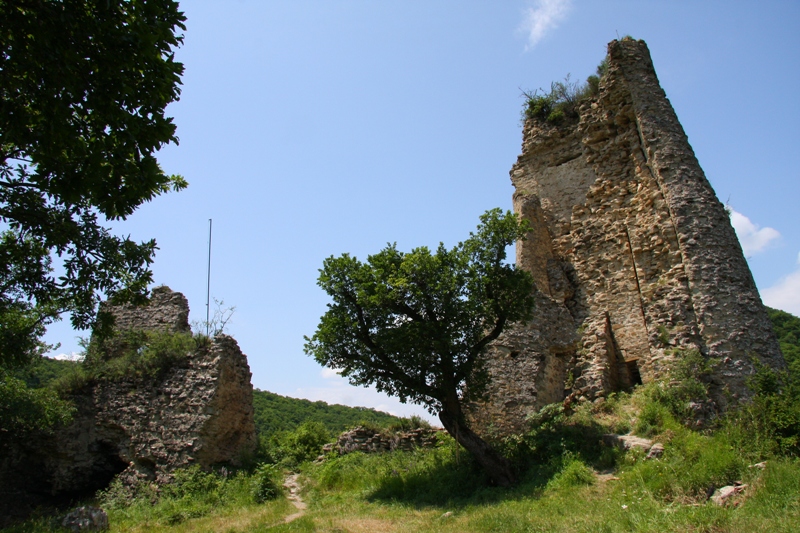 Ujarma Castle — Georgia castle