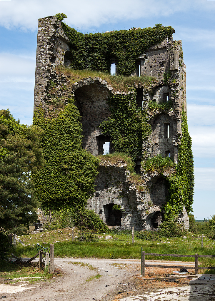 Ballymarkahan Castle — Ireland castle