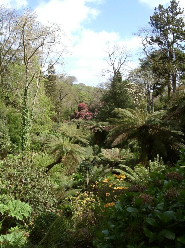 Lost Gardens of Heligan — United Kingdom of Great Britain and Northern Ireland castle