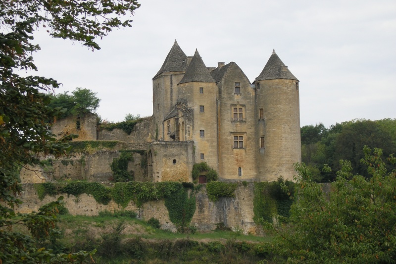 Château de Salignac — France castle