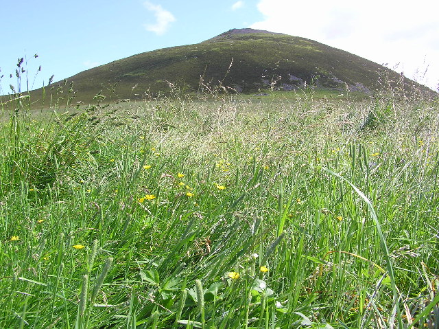 Tap o' Noth — United Kingdom of Great Britain and Northern Ireland castle