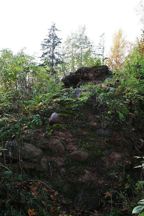 Rokantiskes Castle Ruins — Lithuania castle