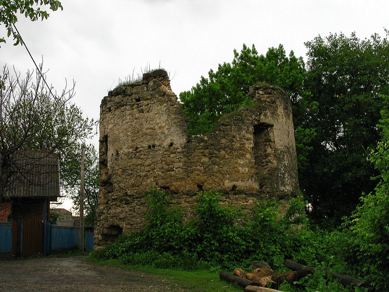 Novosilka Castle — Ukraine castle