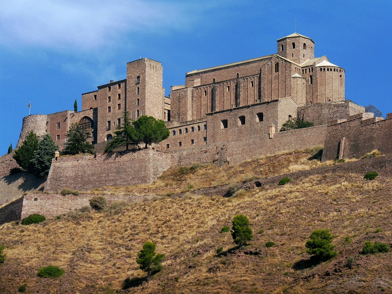 Castle of Cardona — Spain castle