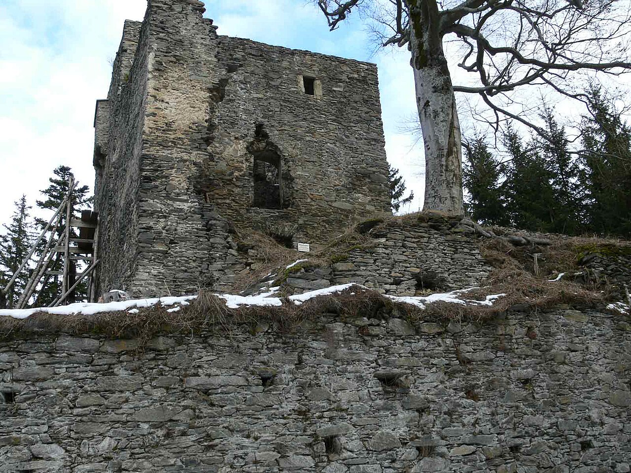 Ruine Hauenstein — Austria castle