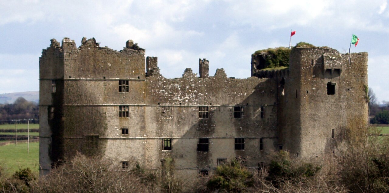 Loughmoe Castle — Ireland castle