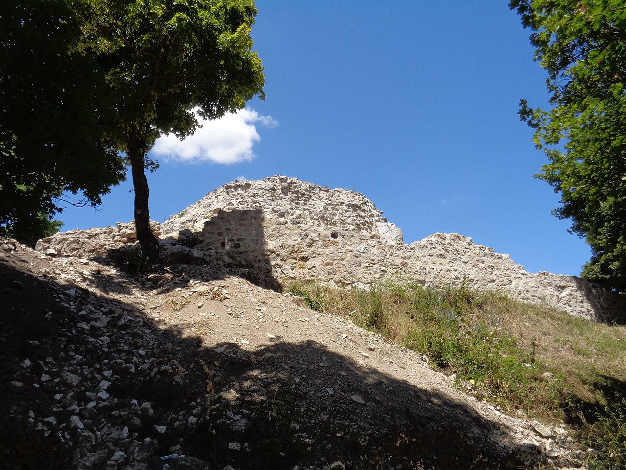 Udbina Castle — Croatia castle