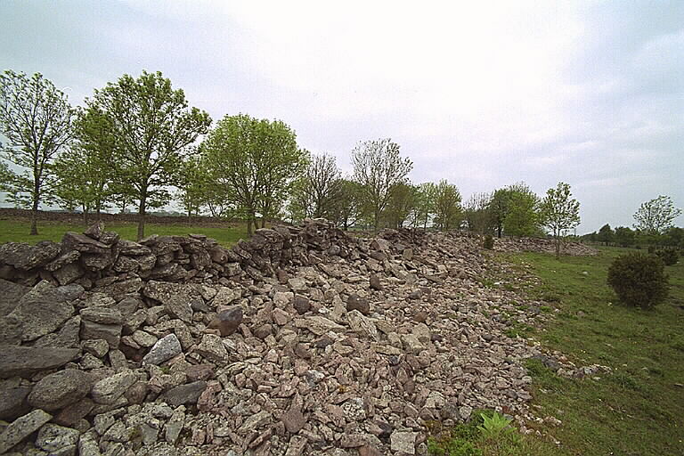 Träby borg — Sweden castle