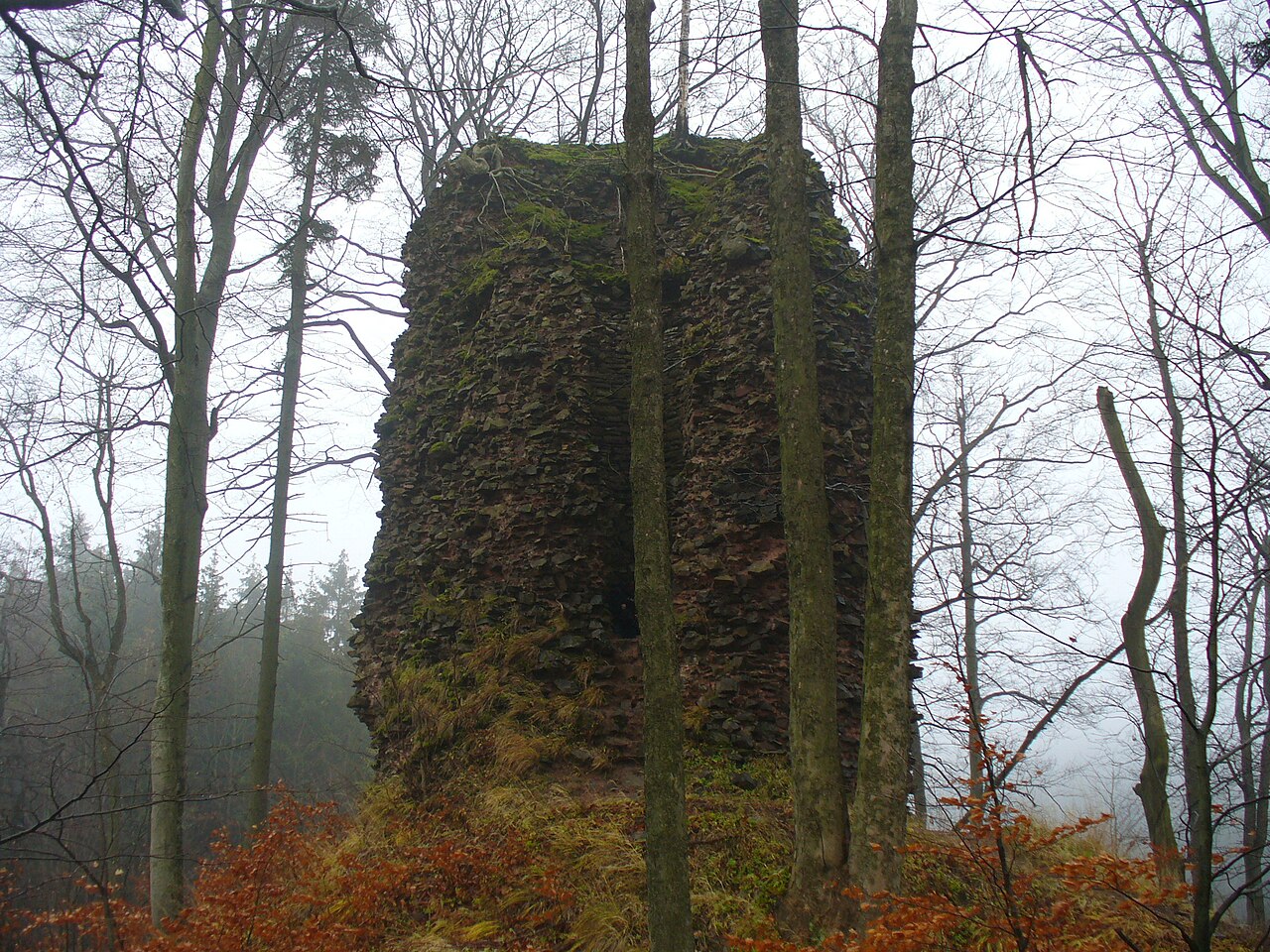 Radosno Castle — Poland castle