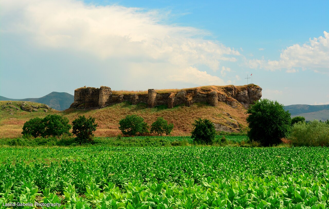 Gagi Castle — Georgia castle