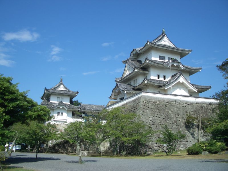 Iga Ueno Castle — Japan castle